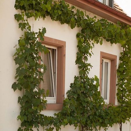 Ferienhaus Am Kuenstleratelier Riegel am Kaiserstuhl Extérieur photo